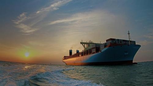 Khảo sát của hiệp hội chủ tàu và hiệp hội thuyền viên về bảo vệ sức khỏe thuyền viên trong đại dịch Covid-19